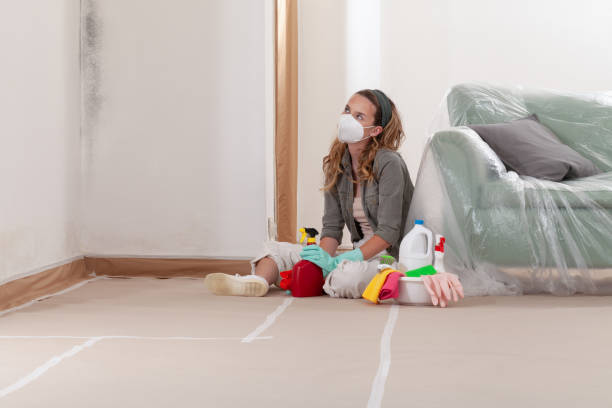 Reliable Commercial Mold Remediation contractor in Clarksville, MD by WQB Mold Removal